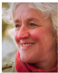 J.C.A.M. van den  Born