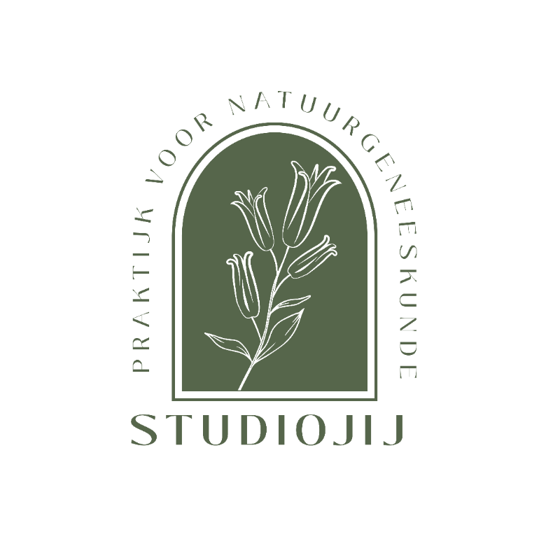 StudioJIJ