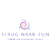 Terug naar Zijn