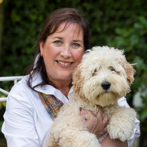 A.J.M.H.  Kamsteeg-Peters