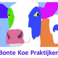 Het NVPA