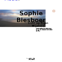 S. Biesboer