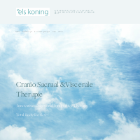 N.J. Koning